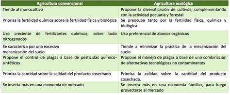 Gráfico comparativo de rendimientos entre agricultura ecológica y convencional