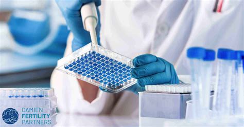 Esquema de las pruebas genéticas preimplantacionales