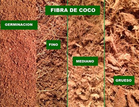Infografía comparativa sobre la estructura porosa de la fibra de coco y su capacidad de retención hídrica frente a la turba.