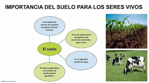 Esquema de la importancia del suelo para la vida y la producción de alimentos