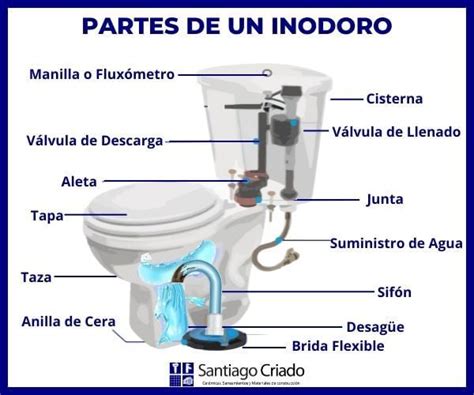Diagrama que ilustra las adaptaciones necesarias en un inodoro de entrenamiento para niños con parálisis cerebral, incluyendo soportes de espalda y laterales.