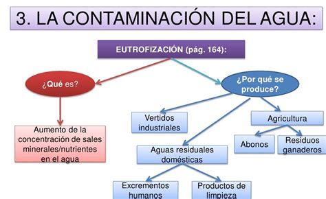 Esquema de la contaminación del suelo y agua por fertilizantes