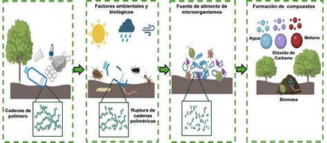 Diagrama de flujo de la biodegradación de los pañales Naty