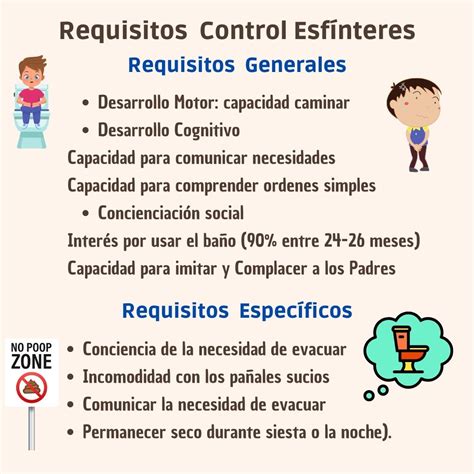 Infografía: Etapas del desarrollo del control de esfínteres en niños