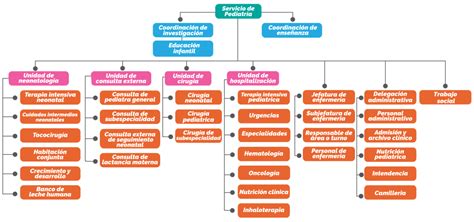 Esquema organizativo de un servicio de pediatría hospitalario o diagrama de colaboración multidisciplinar en un hospital infantil