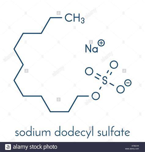 Estructura molecular del Sulfato de Dodecilsodio (SDS)