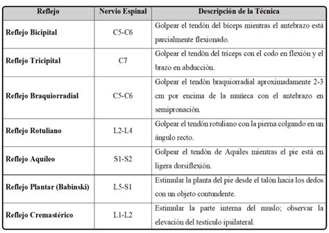 Tabla de clasificación neurológica post-ahogamiento según Conn