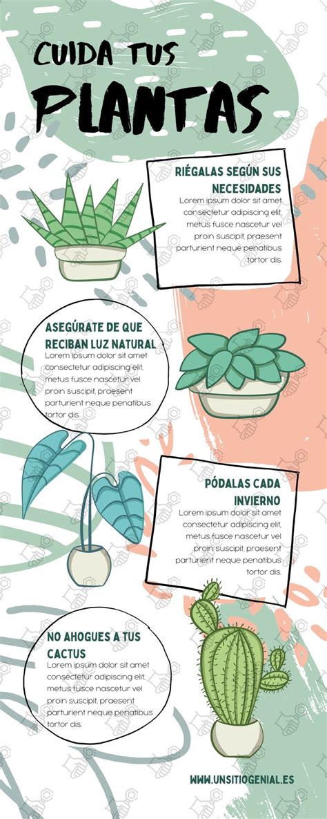 Infografía: Beneficios del supermagro en la salud de las plantas