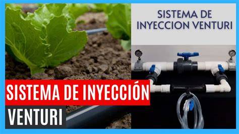 Foto de una persona calibrando un sistema de inyección de fertilizantes con un recipiente de medición