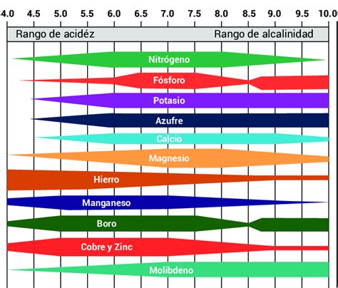 Gráfico de la disponibilidad de nutrientes según el pH del suelo