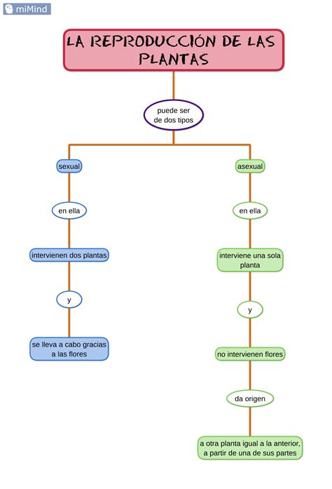 Esquema de las aplicaciones de las listas de reproducción en la educación