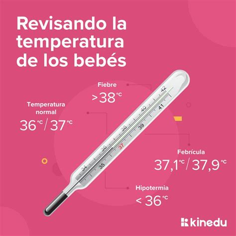 Infografía: Rangos de temperatura normal en bebés según el método de medición