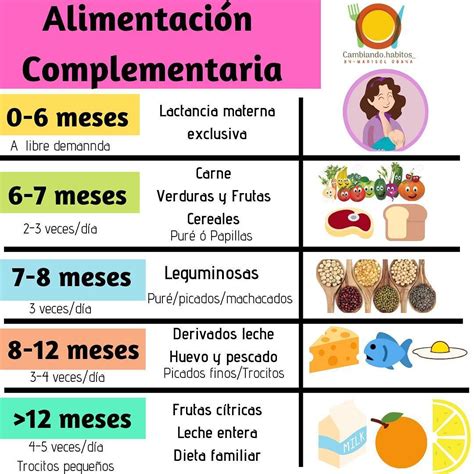 Esquema de las etapas de la alimentación complementaria en bebés