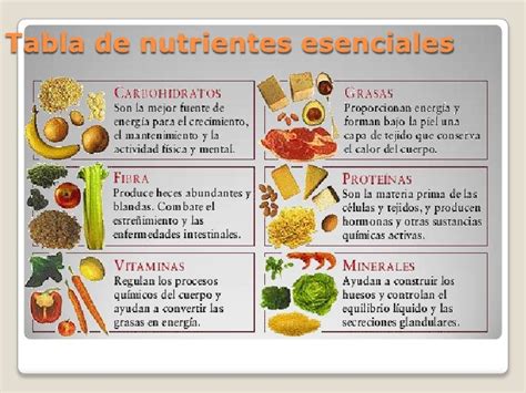 Tabla de alimentos ricos en nutrientes esenciales para la menopausia