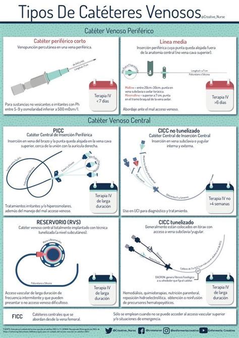 Infografía: Estructura de la vena y tipos de catéteres venosos periféricos