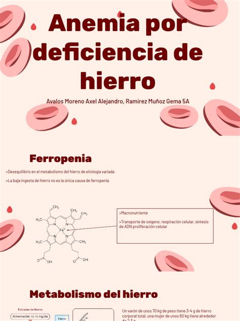Esquema de las causas y síntomas de la anemia por deficiencia de hierro