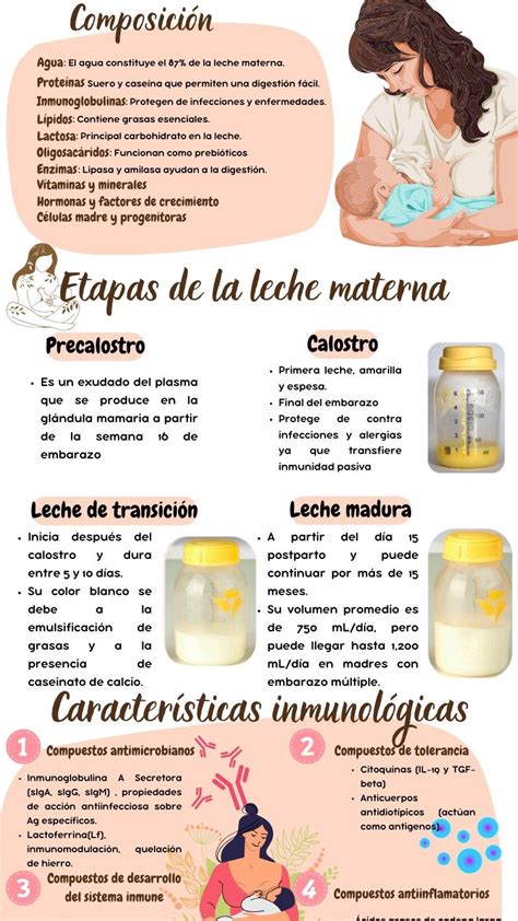 Ilustración de opciones para la leche materna después de una pérdida