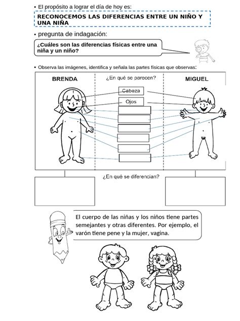 Esquema de las diferencias físicas entre un bebé prematuro y uno a término