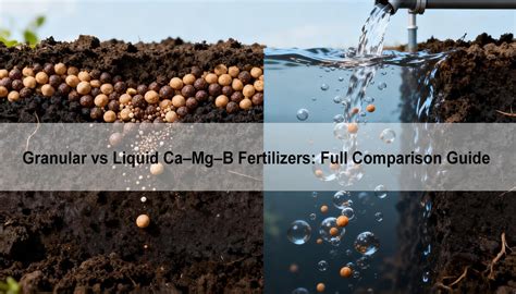 Esquema comparativo de fertilizantes granulados vs. líquidos