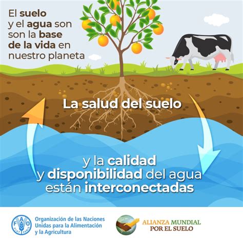 Esquema de la estrategia nacional de sostenibilidad del suelo y uso de nutrientes