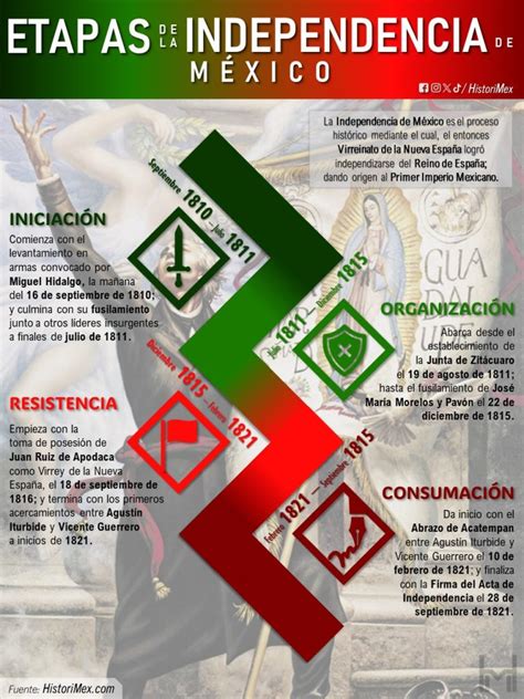 Infografía o esquema sobre las etapas de la formación médica para ser pediatra (grado, MIR, residencia, especialización)