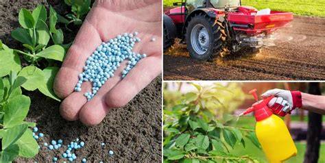 Esquema de las diferentes formas de aplicación de fertilizantes (granulado al suelo, foliar, riego)