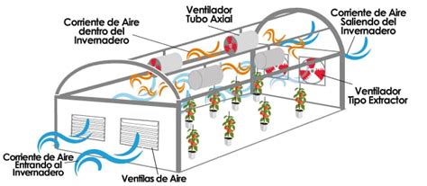 Técnicas de ventilación en invernadero para prevenir pudriciones