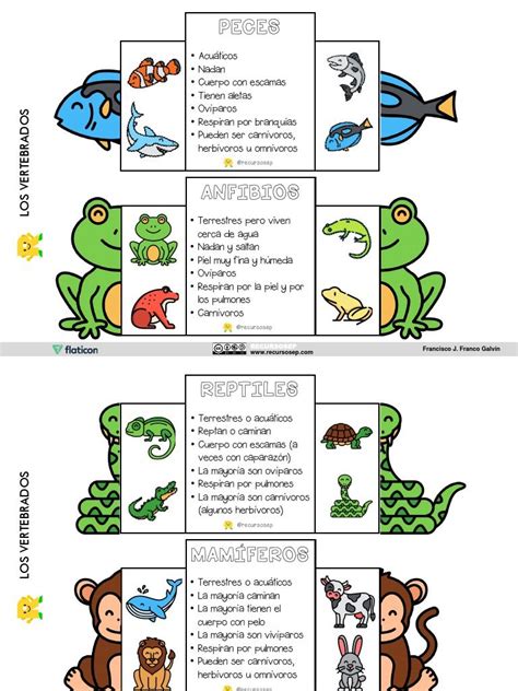 Ilustración de la diversidad de vertebrados anamniotas: peces y anfibios en su entorno natural