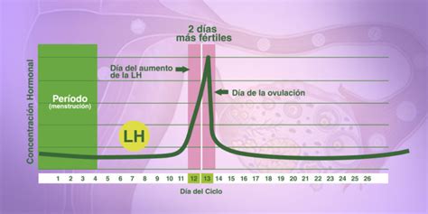 Infografía comparativa de los diferentes métodos para detectar la ovulación.