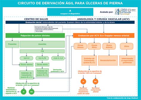 Esquema de las rutas de derivación en casos de interrupción voluntaria del embarazo en la sanidad pública