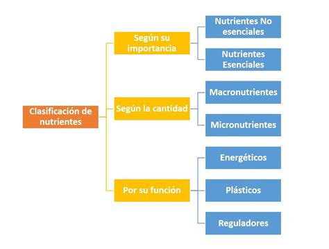 Esquema de la clasificación de nutrientes para cultivos de cereales.