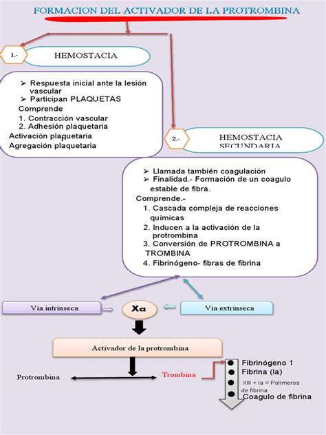 Esquema de la cascada de eventos fisiopatológicos de la encefalopatía hipóxico-isquémica