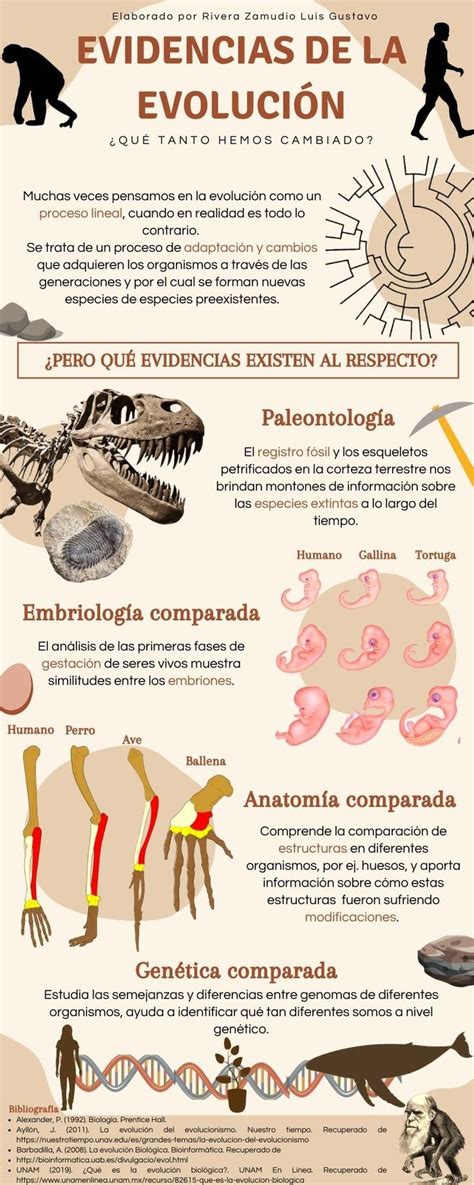 Infografía sobre la evolución de las casas de Gran Hermano.