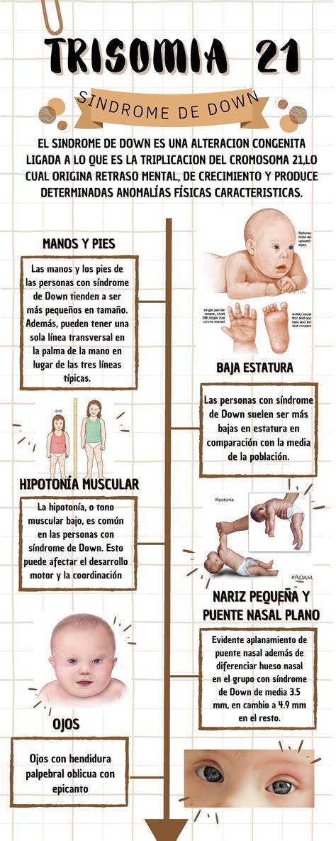 esquema de los tipos de trisomías y sus efectos