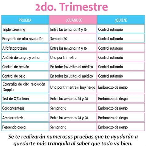 Infografía sobre el calendario de pruebas médicas durante el embarazo, destacando los análisis de sangre y orina.