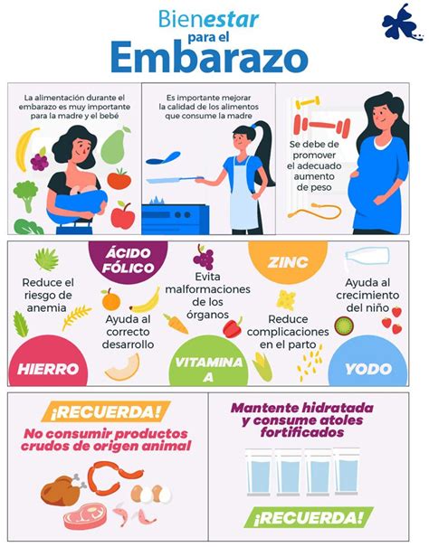 infografía sobre la importancia de la nutrición durante el embarazo