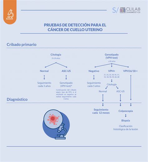 Diagrama de las pautas de cribado para cáncer de cuello uterino por edad