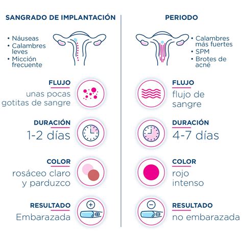infografía sobre el ciclo de recuperación post-aborto, mostrando el sangrado, los cólicos y el regreso de la menstruación