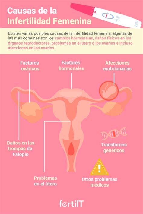 Infografía de las causas comunes de infertilidad femenina, incluyendo ovarios, trompas y útero