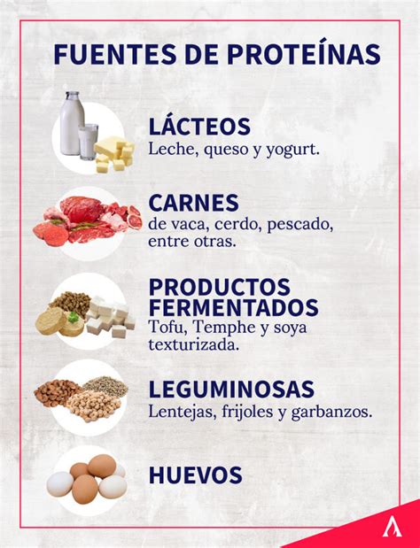 Infografía comparando diferentes fuentes de proteína para la alimentación porcina y su perfil nutricional.