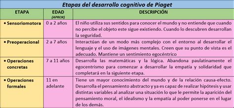 Esquema de las etapas del desarrollo infantil