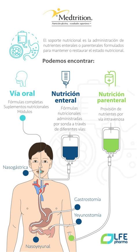 Infografía: Componentes clave del soporte nutricional pediátrico hospitalario
