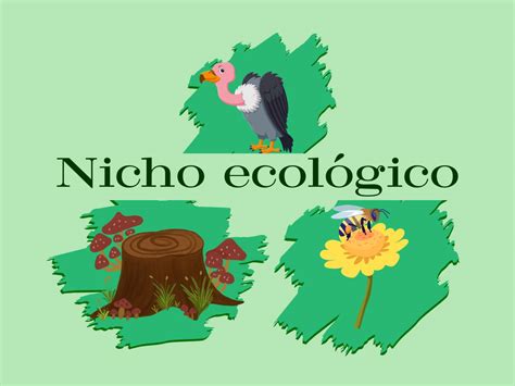 Esquema de un organismo interactuando con su nicho ecológico