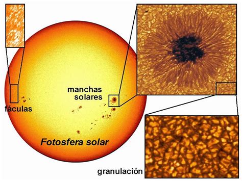 Esquema de la superficie solar mostrando gránulos y manchas solares