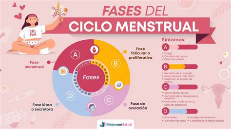 infografía que compara la seguridad del sexo durante la menstruación con otras actividades corporales