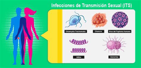diagrama que muestra la transmisión de ITS y la importancia del preservativo