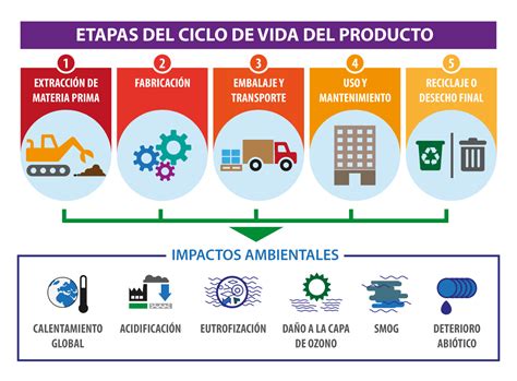 Infografía sobre el ciclo de vida de un palet: fabricación, uso, reparación y reciclaje.