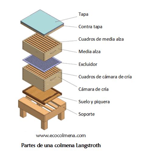 Esquema de los diferentes tipos de colmenas (Langstroth, Dadant, Layens) y sus dimensiones.