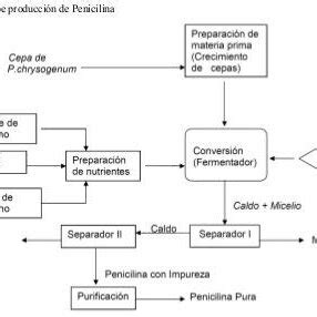 Diagrama de flujo del proceso de extracción de penicilina G de la leche