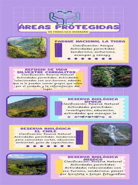 Infografía sobre las áreas de especialización en pediatría